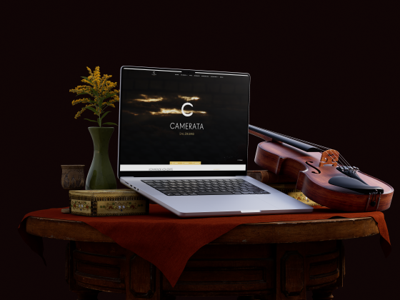 CAMERATA Website